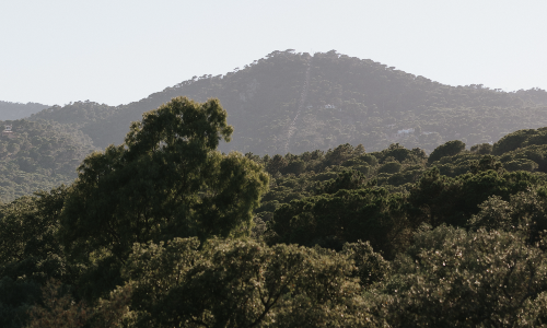 Vistas a la naturaleza